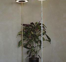 8 Decor Essentials by Fanusta- Home decor online